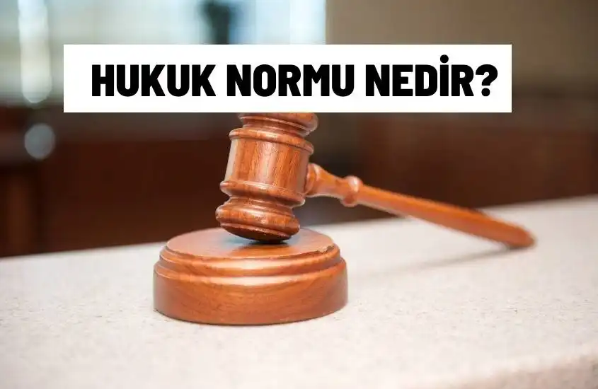 Hukuk Normu Nedir? Özellikleri ve Hiyerarşisi