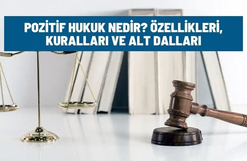 Pozitif Hukuk Nedir? Özellikleri, Kuralları ve Alt Dalları