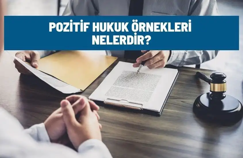 pozitif hukuk ornekleri